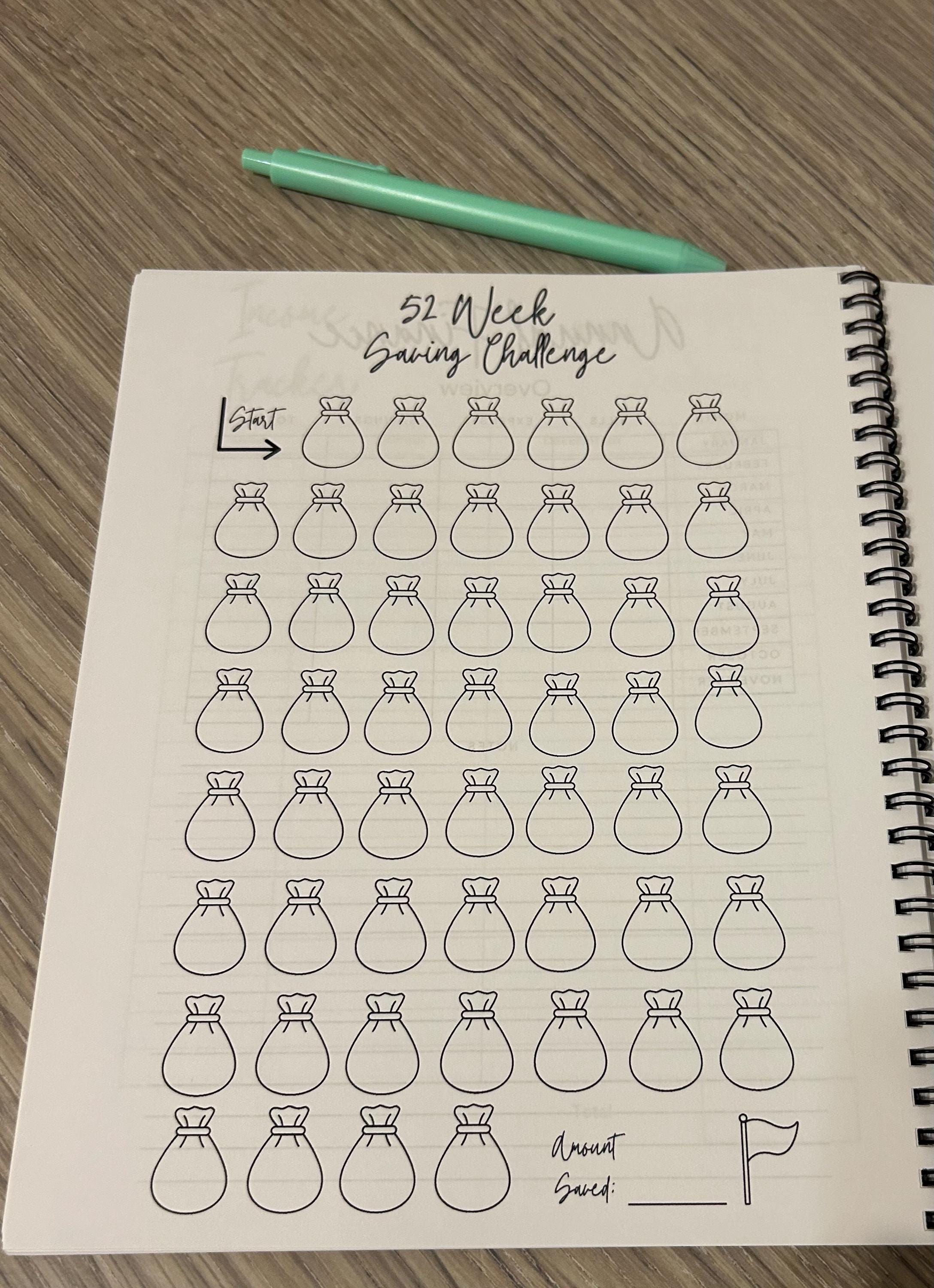 Budget Planner & Expense Tracker | 8x10 Money Management Journal | Debt Payoff & Savings Tracker